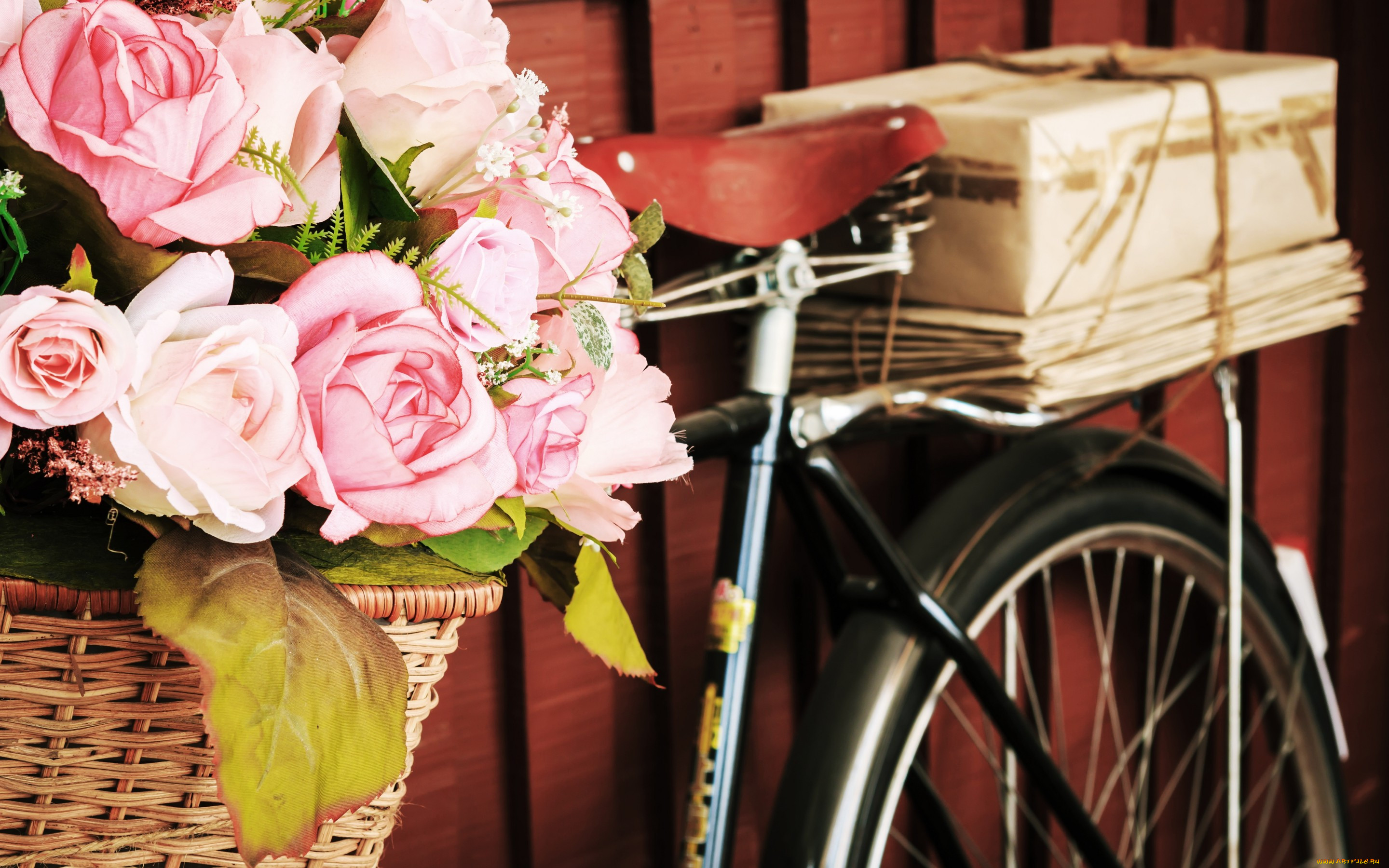 , ,  ,  , flowers, roses, , , , , 